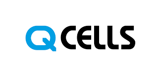 Q Cells